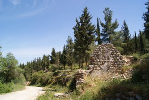 Photo for al-Qabu village, April 2010 by Hazem Jamjoum ( © BADIL)