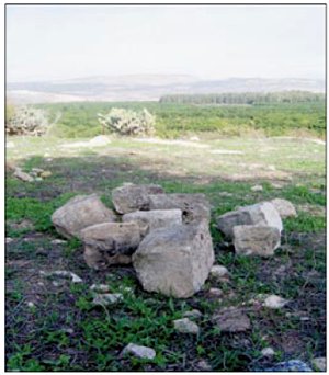 From al Damoun to Nahr el Bared Camp: A Journey of Pain