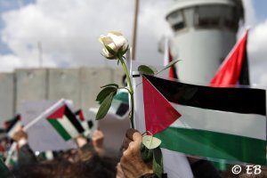 Women’s Day Demonistration - Qalandia Checkpoint, 2011 (©EB)