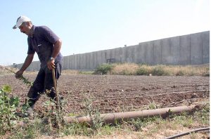 CEDAW on Israel: Failure to Address Core Issues