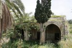 قرية الغابسية المهجرة )تصوير: مقبولة نصار، 2005 (