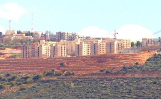 (١٨ كانون أول ٢٠١٩) بيان بشأن المشاركة الفلسطينية في فعاليات جامعة أريئيل