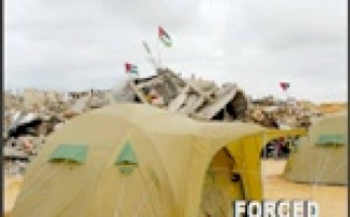 BADIL Releases Issue #45 of al-Majdal (Winter 2010): Forced Secondary Displacement - Gaza Strip, Iraq, Jordan, and Libya