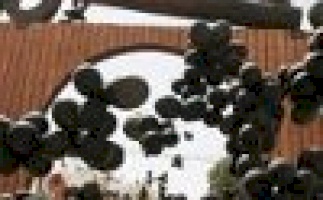 PCBS: Special Nakba-61 Report