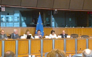 The situation of Palestinian refugees inside Palestine and within unstable Arab Host States &ndash; Badil&rsquo;s presentation in the European Parliament 