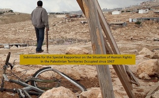 Israel&rsquo;s Forcible Transfer of Palestinian Bedouin: Forced Displacement as a Pillar of Colonialism and Apartheid Submission for the Special Rapporteur on the Situation of Human Rights in the Palestinian Territory Occupied since 1967 