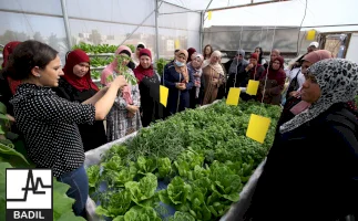 مبادرات شبابية تم تنفيذها من قبل كل من (مركز لاجئ/عايدة، مركز إبداع/الدهيشة، مؤسسة الدار/حيفا، مركز بيسان/طولكرم، مركز البستان/القدس)