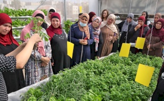 ضمن مشروع "مبادرات شبابية": بديل ينفذ مجموعة من المبادرات في مناطق مختلفة من فلسطين بحدوها الانتدابية