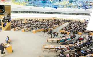BADIL submits its report on Self-Determination to the Special Rapporteur on the Situation in Palestine, Ms. Fransesca Albanese.