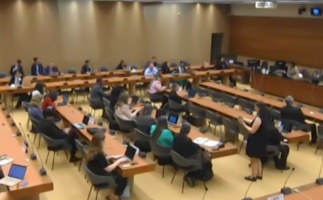 BADIL Urgently Calls for International Action on Palestinian Rights: Dismantling Colonial-Apartheid and Ensuring Self-Determination and Return