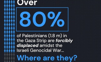 Displaced Palestinians in the Gaza Strip
