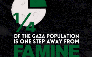 Starvation in the Gaza Strip