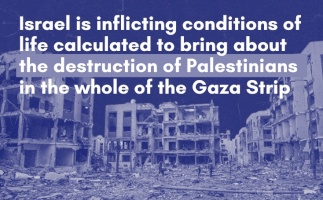 The Destruction of Palestinians