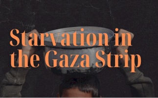 Starvation in the Gaza Strip