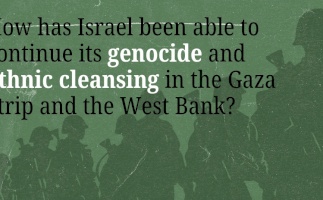 How has Israel been able to continue its genocide and ethnic cleansing in the Gaza Strip and the West Bank?