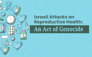 Israeli Attacks on Reproductive Healthcare System