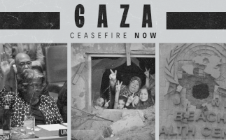 A Call for an Immediate Ceasefire in Gaza