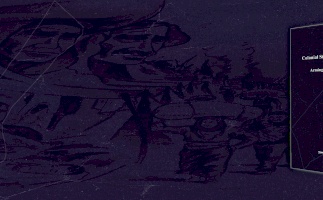 New BADIL Working Paper: “Colonial States’ Complicity in Gaza: Arming and Shielding Genocide”