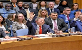 UN Security Council Resolution 2803: International Governance as a Tool of Israeli Colonial Domination in Gaza