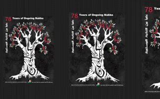 Nakba 78 International Advocacy Round-up