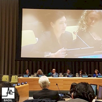 Engagement with Special Procedures 