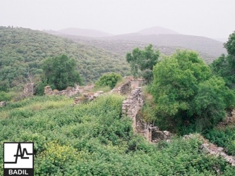 Kafr Bir'im  283