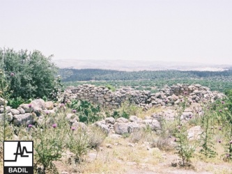 Khirbat Umm Burj  433