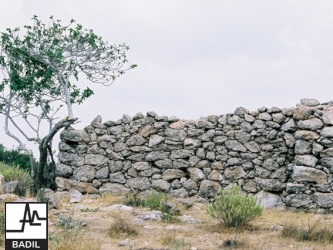 Khirbat Umm Burj  438