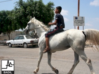 Invading Qalqilya and demolishing number of Houses and Properties