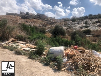 Youth Initiatives Project: Five Youth-Led Initiatives to Enhance Access to Land