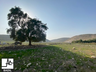 بعد تنفيذ يوم عمل تطوعي في الأغوار، بديل يجري زيارة تقييم ومتابعة في خربة تل الحمة في الأغوار الشمالية
