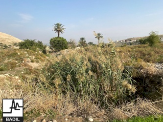 بعد تنفيذ يوم عمل تطوعي في الأغوار، بديل يجري زيارة تقييم ومتابعة في خربة تل الحمة في الأغوار الشمالية