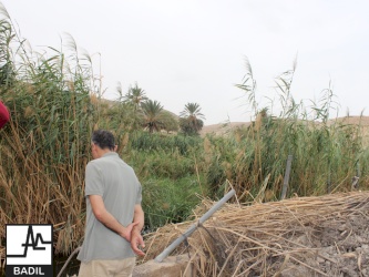 في ظل اعتداءات المستعمرين المستمرة لأراضي الأغوار الشمالية: بديل يجري زيارة ميدانية الى خربة تل الحمة