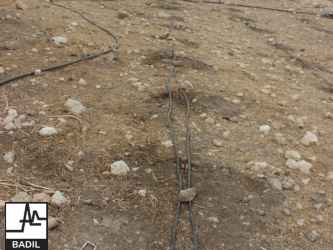 في ظل اعتداءات المستعمرين المستمرة لأراضي الأغوار الشمالية: بديل يجري زيارة ميدانية الى خربة تل الحمة