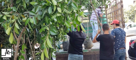 Youth Initiatives Project: Five Youth-Led Initiatives to Enhance Access to Land