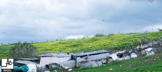 مجموعة عائدات النسوية تنفذ يوم عمل تطوعي في خربة تل الحمة في الأغوار