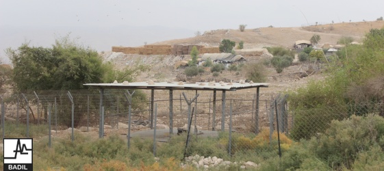 في ظل اعتداءات المستعمرين المستمرة لأراضي الأغوار الشمالية: بديل يجري زيارة ميدانية الى خربة تل الحمة