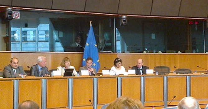 The situation of Palestinian refugees inside Palestine and within unstable Arab Host States &ndash; Badil&rsquo;s presentation in the European Parliament 