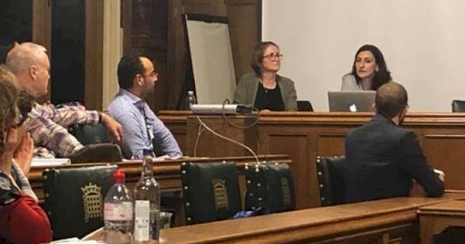(30 November 2018) BADIL Engages with the UK Parliament 