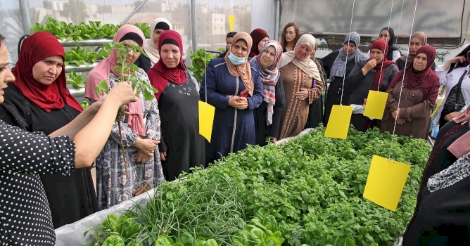ضمن مشروع "مبادرات شبابية": بديل ينفذ مجموعة من المبادرات في مناطق مختلفة من فلسطين بحدوها الانتدابية