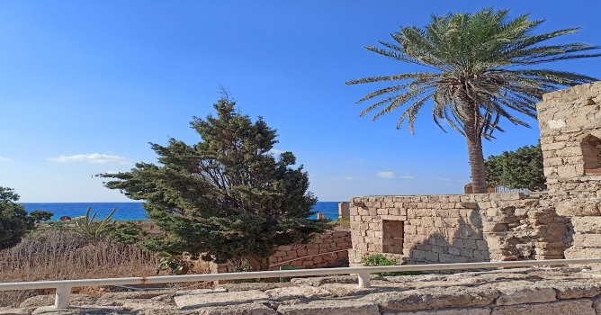 Illegal Measures of the Israeli Custodian of Absentee Property must be Outlawed as the first step to Protecting Palestinian Refugees&rsquo; Properties and their Revenues