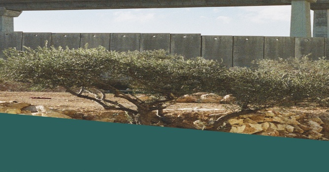 BADIL Calls on Third-Party States to Impose Sanctions on Israel, targeting its System of Domination Based on Forced Displacement, Colonization, and Apartheid