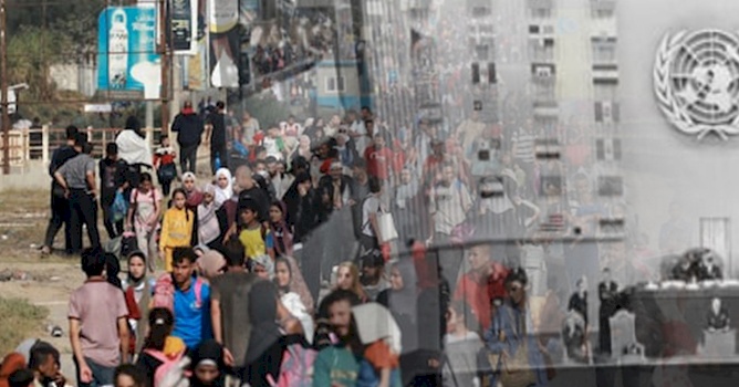الذكرى السنوية الخامسة والسبعون للإعلان العالمي لحقوق الإنسان وقرار الأمم المتحدة رقم 194