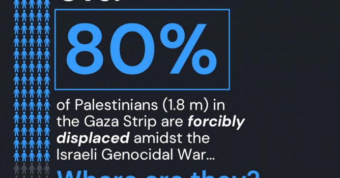 Displaced Palestinians in the Gaza Strip