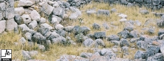 Khirbat Umm Burj  437