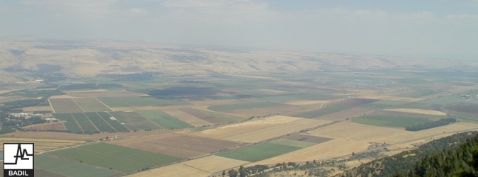 لاجئون فلسطينيون يلتقون على الحدود اللبنانية (حزيران ٢٠٠٠)