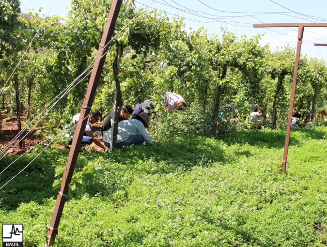 International Mobilization Course for the Inalienable Rights of the Palestinian People (August 2019)