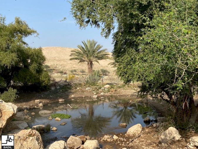 بعد تنفيذ يوم عمل تطوعي في الأغوار، بديل يجري زيارة تقييم ومتابعة في خربة تل الحمة في الأغوار الشمالية