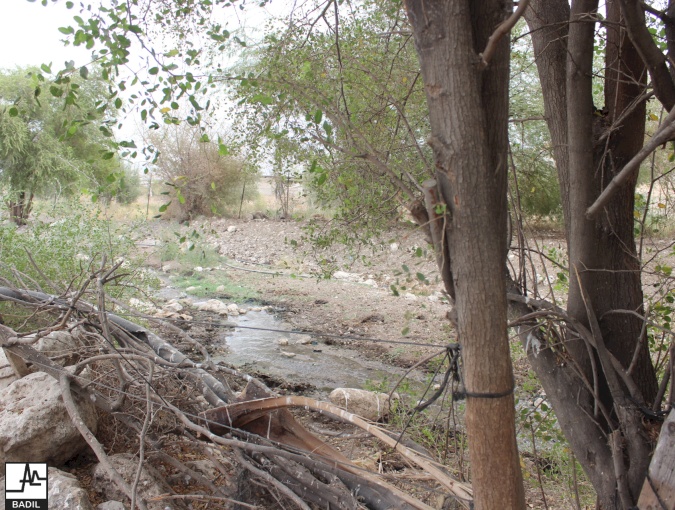 في ظل اعتداءات المستعمرين المستمرة لأراضي الأغوار الشمالية: بديل يجري زيارة ميدانية الى خربة تل الحمة