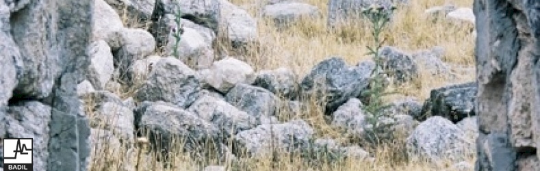 Khirbat Umm Burj  435